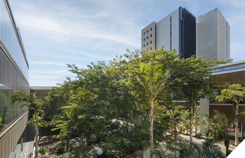 VAXA - 05 PROYECTOS 01 CEIBA SLIDE 1 - 202603.jpg