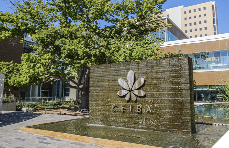 VAXA - 05 PROYECTOS 01 CEIBA SLIDE 4 - 202603.jpg